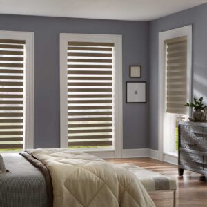 Zebra Dual Banded Shades Light Dimming