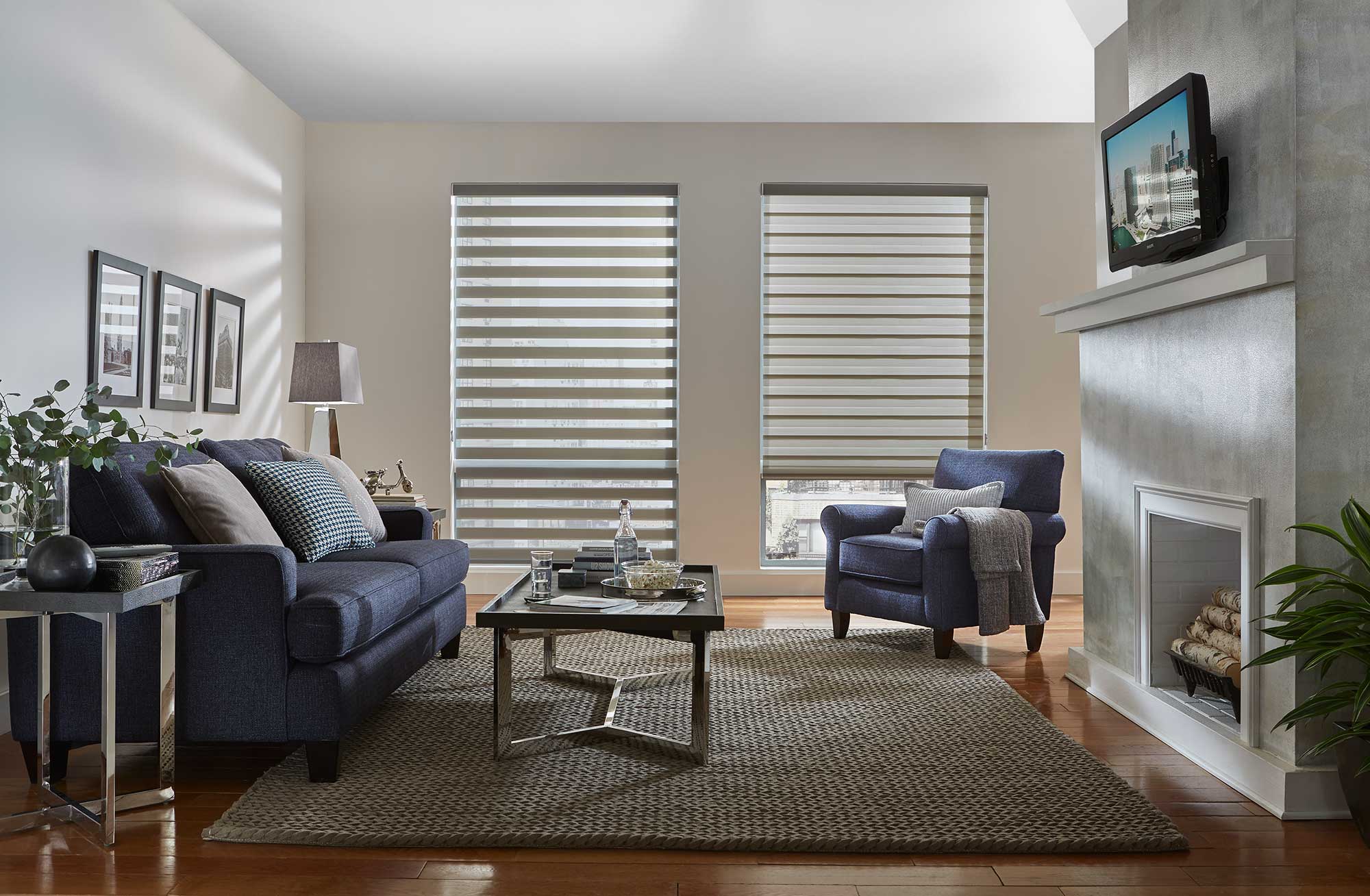 Zebra Dual Banded Shades Translucent - Image 3