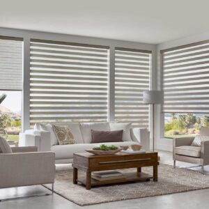 Zebra Dual Banded Shades Translucent