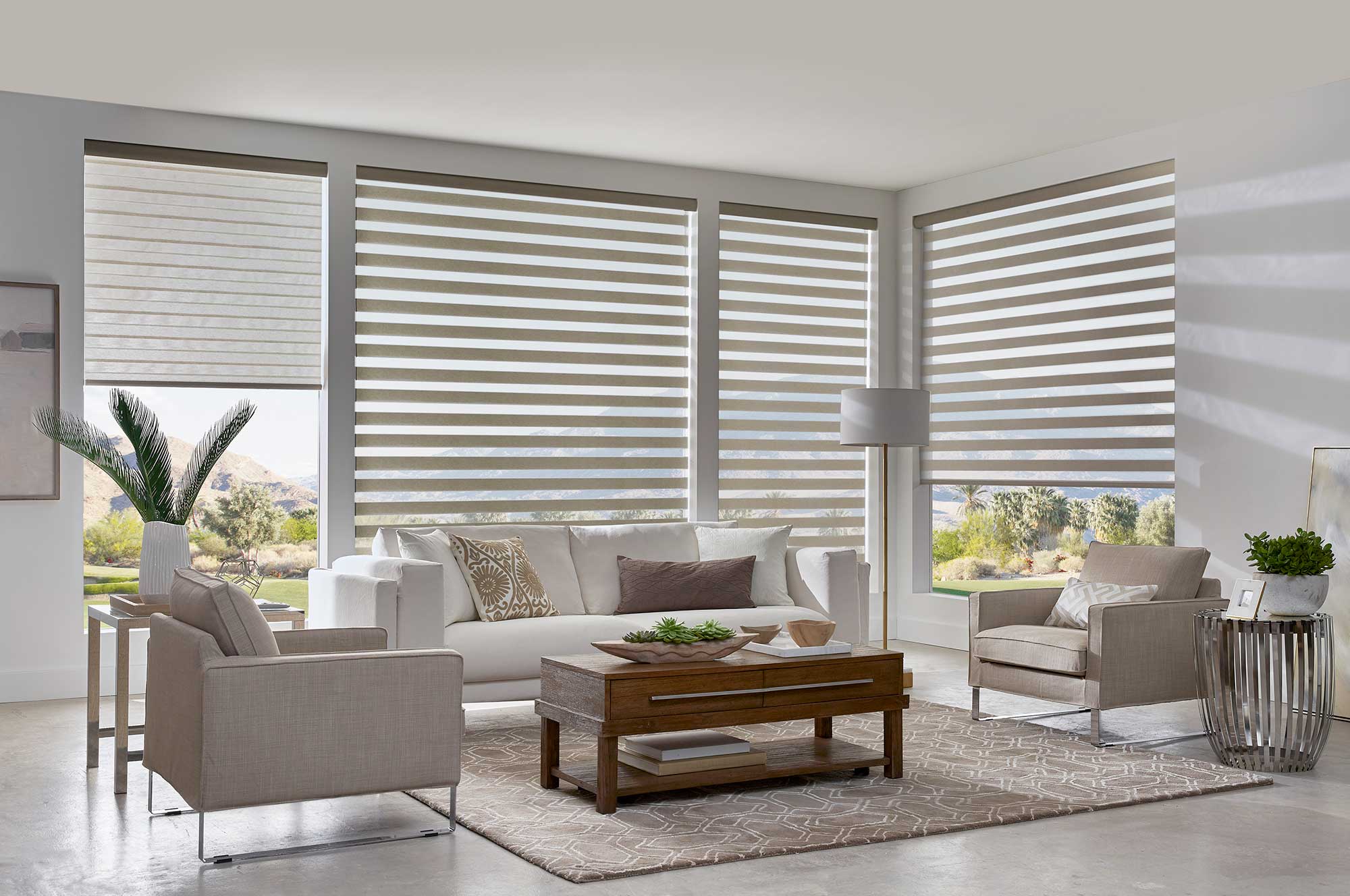 Zebra Dual Banded Shades Translucent