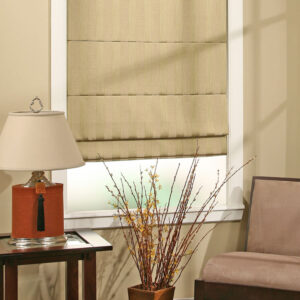 Plain Roman Shades