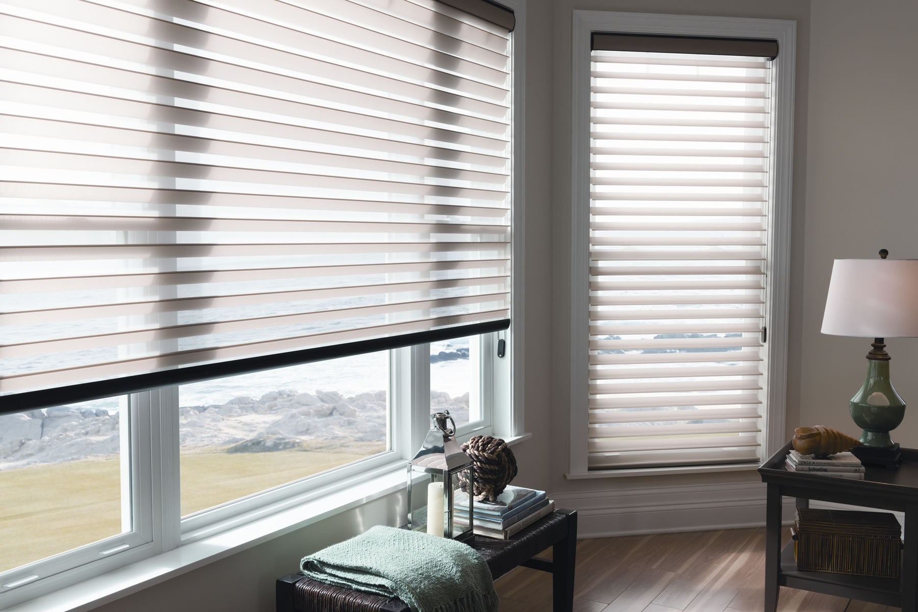 2" Vanes Light Filtering Sheer Shades